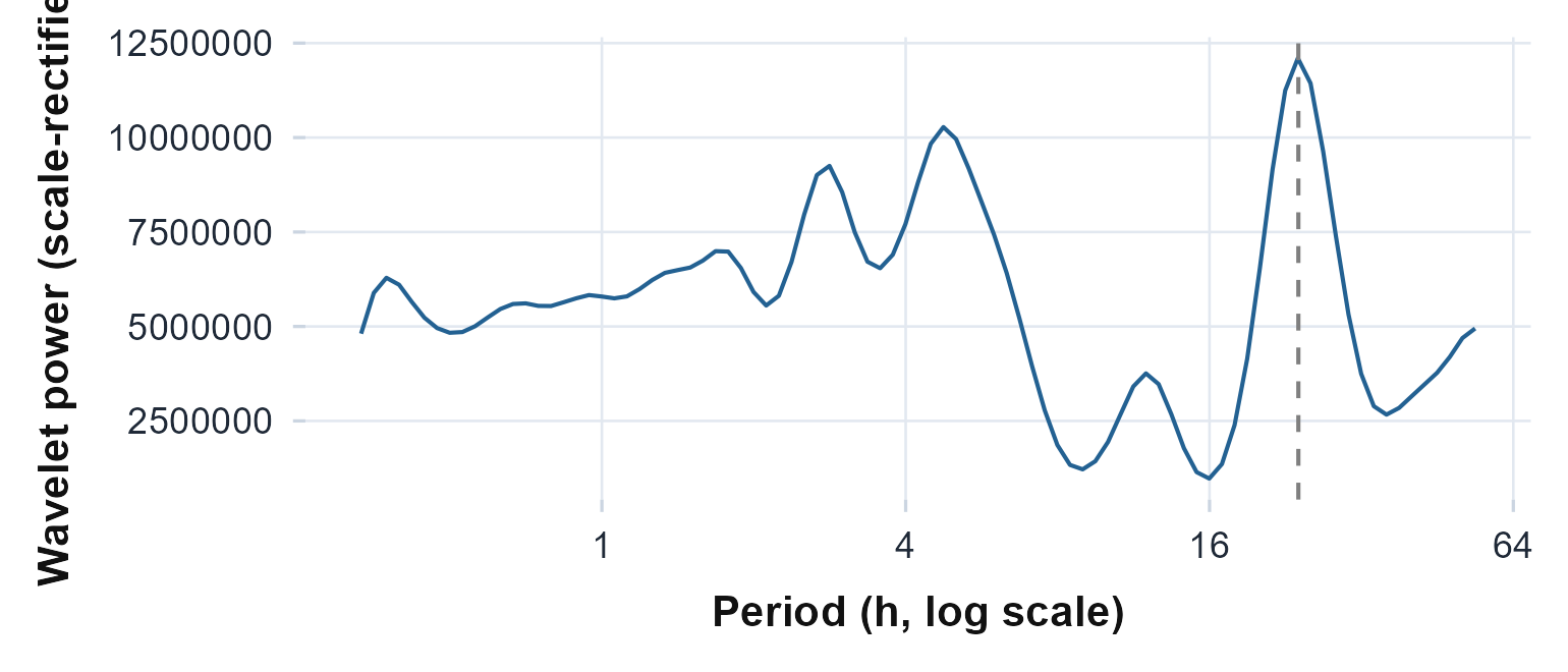 The scale-rectified global wavelet power spectrum (|W|^2/scale, Liu et al. 2007). The peak sits at the circadian period (dashed line at 24 hours), recovered without assuming a fixed cosine shape.