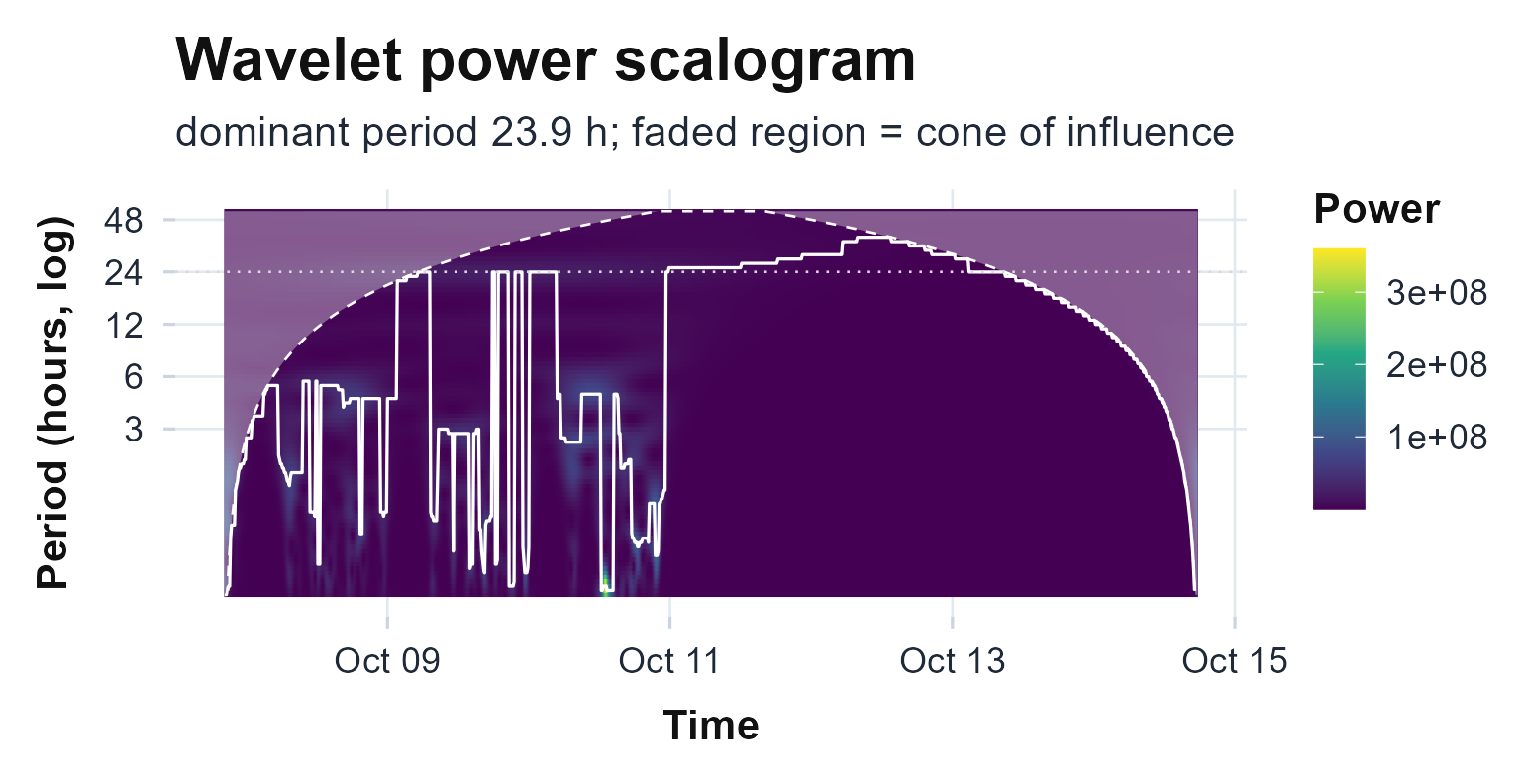The full wavelet power scalogram: scale-rectified power across period (log axis) and time, with the cone of influence faded at the ends and the dominant-period ridge traced in white. The circadian band runs the length of the recording.